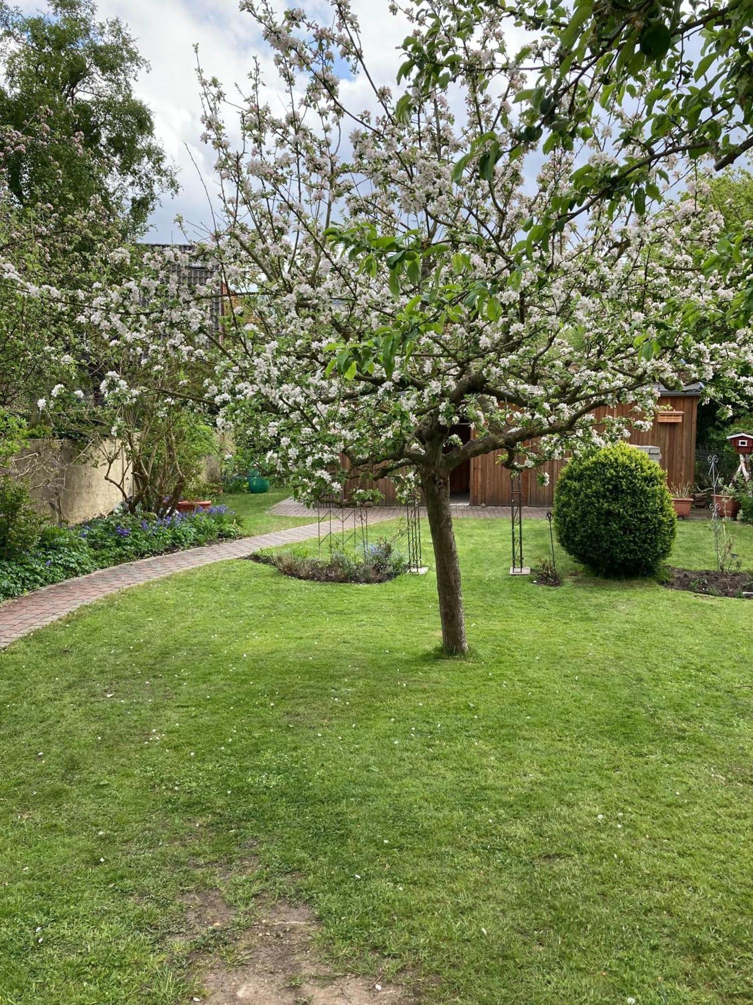 Charmante-Ferienwohnung-In-Der-Fjordstadt Flensburg Exteriér fotografie